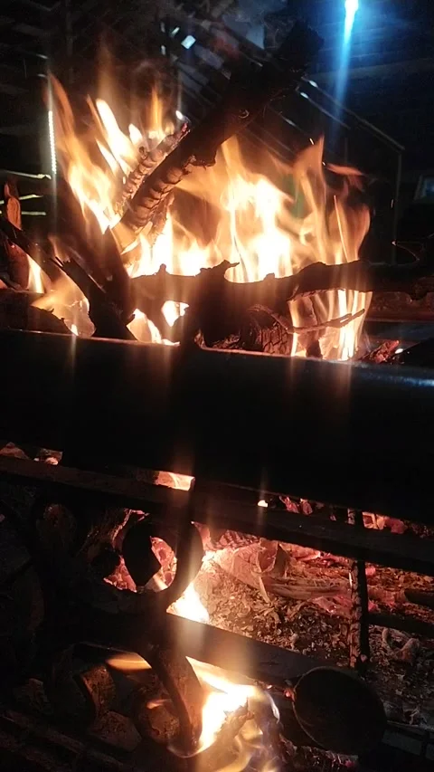 Fire vertical night Stock Footage 238741671