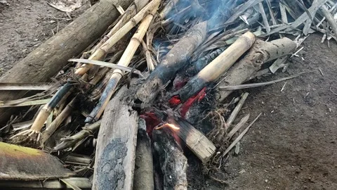 Fire videos Stock Footage 231648399