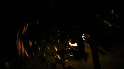 Fire viewed through leaves Stock Footage 86219529