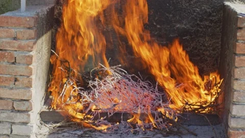Fire from vine branches in fireplace for barbecue Stock Footage 139722711