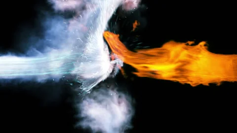 Fire vs Ice fluid simulation 2 Stock Footage 160737726