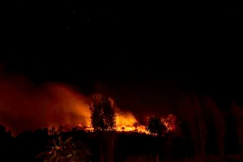 The fire was burning trees on the mountain at night with all stars in the sky Stock Photos