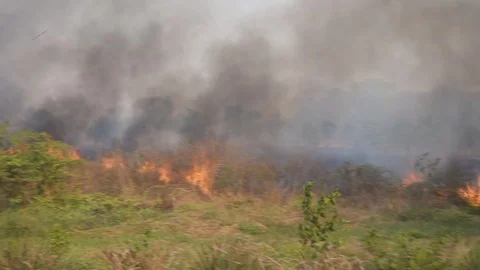 The fire was burning wild and very severe. 動画素材 104738392