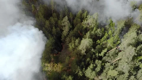 The fire was burning wild and very severe Video stock 139923371