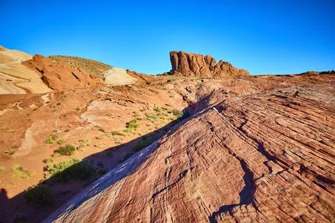 Fire Wave Sandstone Patterns at Valley of Fire Low Angle View Fotos de archivo