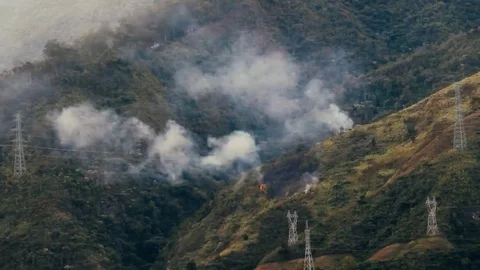 Fire wearing out in a forest Stock Footage 84533953