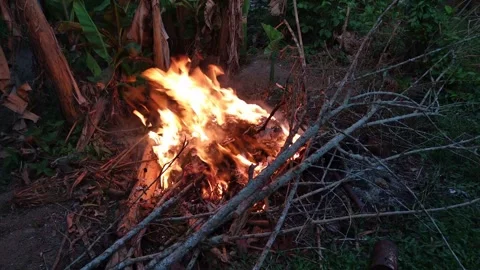 Fire when burning garbage in the yard Stock Footage 288814728
