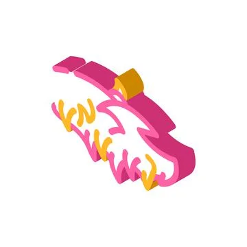 Fire wing isometric icon vector illustration Illustration
