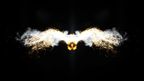 Fire Wings Stock Footage 102678137