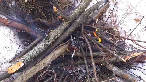 The fire in the winter Stock Footage 125698291