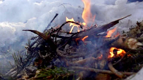 Fire in the winter forest Stock Footage 160053524