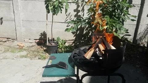 Fire wood for barbecue Stock Footage 136541157