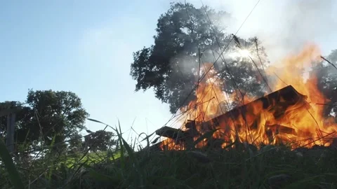 Fire, wood burning in the countryside, grass and oak cork, FHD Stock Footage