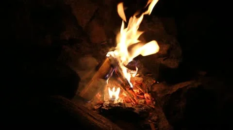 Fire wood in a fire Video stock 12156607