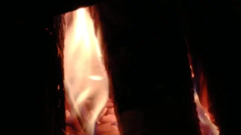 Fire with wood in the fireplace for heating Stock Footage 201813778