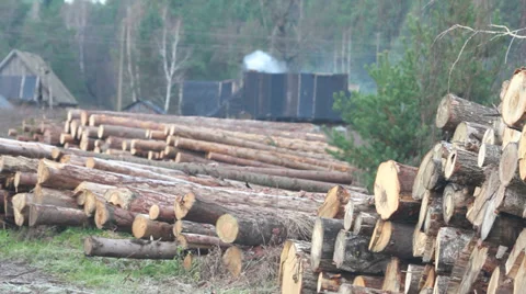 Fire wood 스톡 동영상 32362205