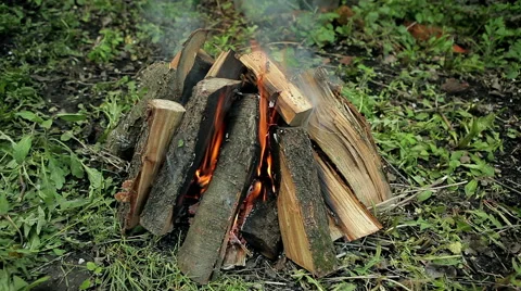 Fire of wood Stock Footage 50397338