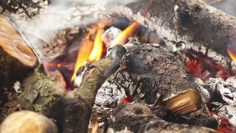 Fire Wood Video stock 82478997