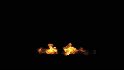 Fire on Wood Stock Footage 134708028