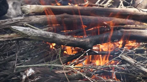 Fire of wood Stock Footage 185941057