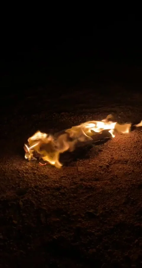 Fire wood Stock Footage 201449661