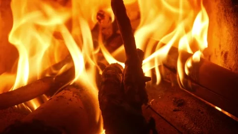 The fire from the wood Stock Footage 321979339