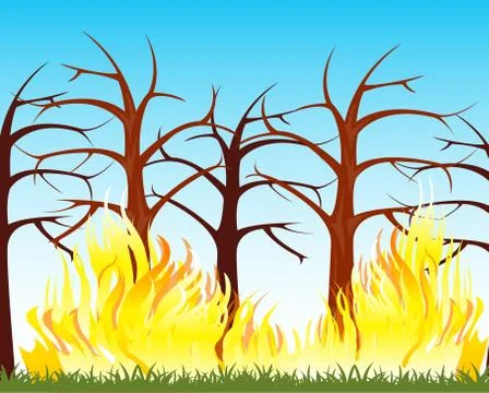 Fire in wood Stock Illustration