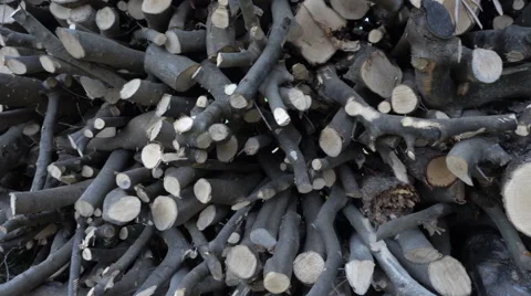 Fire wood in motion Video stock 62556430