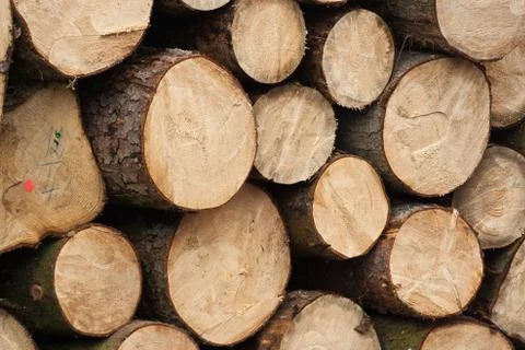 Fire wood Foto stock