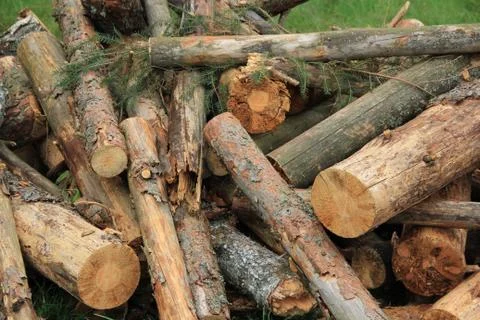 Fire wood Stock Photos
