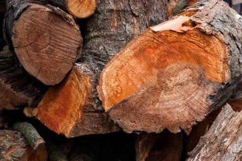 Fire wood Stockfoto's