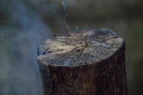 Fire on Wood Stock Photos