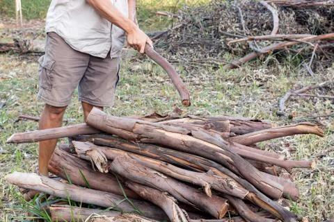 Fire Wood Stock Photos
