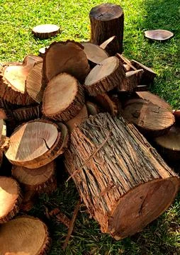 Fire wood Foto stock