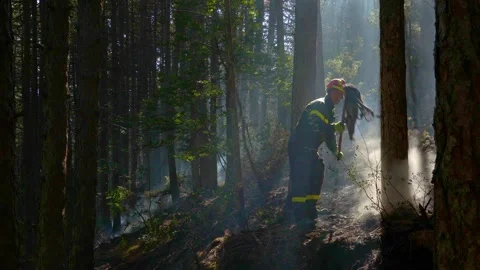 The fire in the woods is almost out. Stock Footage 137278371