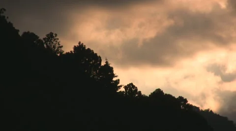 Fire in the woods Stock-Footage 3577128