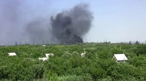 Fire in the woods. Stock Footage 11183071