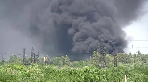 Fire in the woods. Stock Footage 11183371