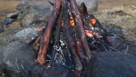 Fire in the woods. Stock Footage 172415404