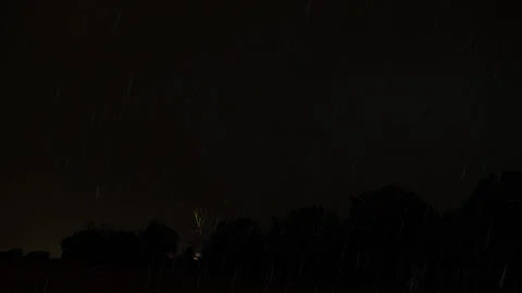 Fire in the woods Stock Footage 270068962