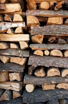 Fire woods Stock Photos