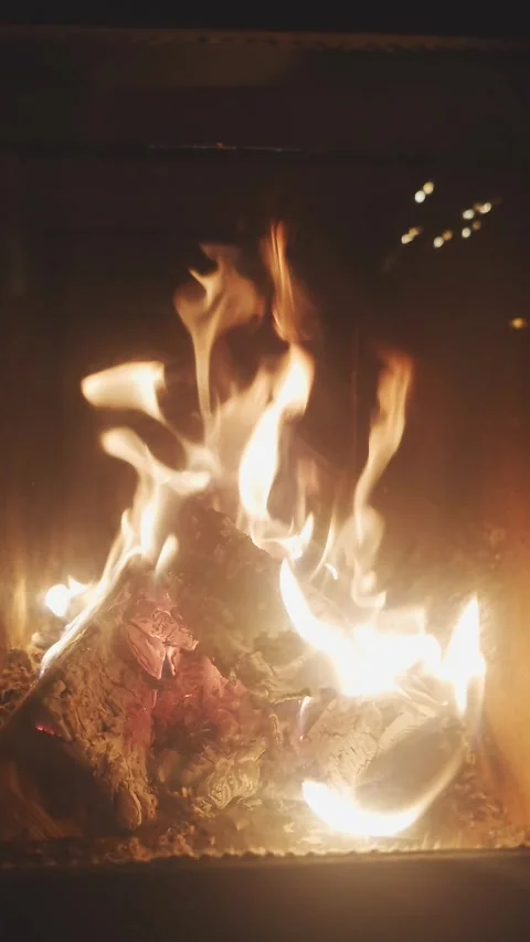 Fire in a woodstove Video stock 295473358
