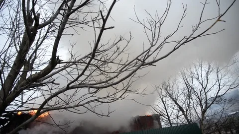 Fire, the work of firefighters. Stock Footage 86197315