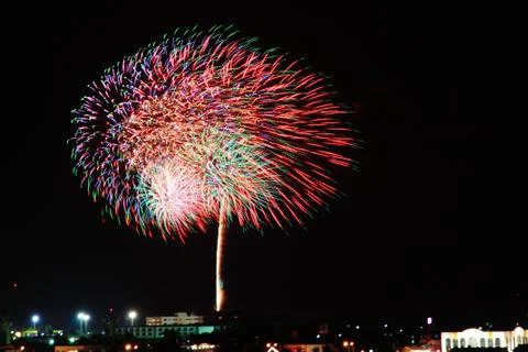 Fire work tree color Stock Photos