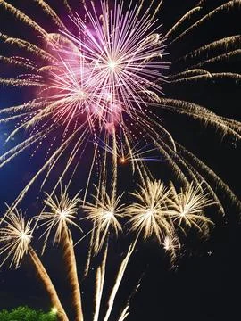 Fire Works 1 Fotos Stock