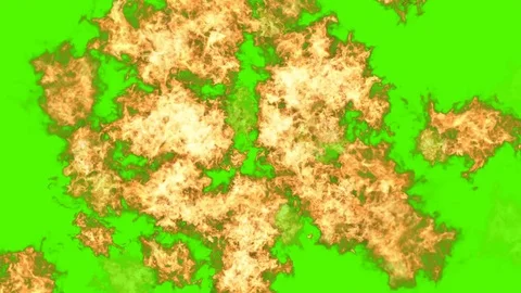 Fire works With The Green Screen Stock Footage 76896676