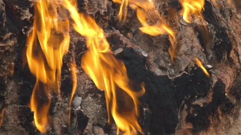 Fire in Yanar Dagh, Azerbaijan - perpetually burning mountain, natural gas flame Stock Footage 322131380
