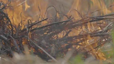 Fire01 動画素材 333330421