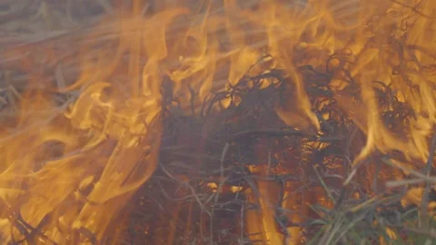 Fire03 스톡 동영상 333330450