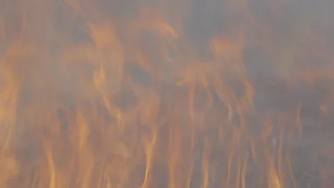 Fire04 Stock Footage 333330451